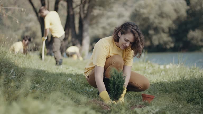 Best Lawn Maintenance Plans  in Denmark, WI