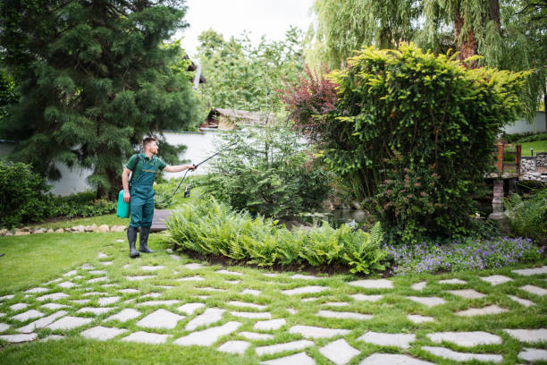 Best Root Management and Removal  in Denmark, WI